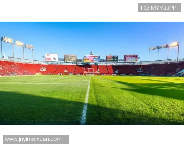 足球星球深度探索绿茵世界的激情与荣耀旅程