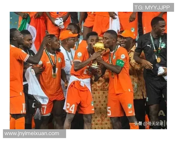 非洲足球王者：各国队伍中的耀眼球星